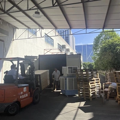 Tải container cho khách hàng Pháp